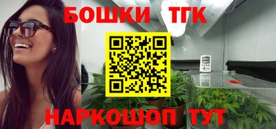 хмурый Абакан